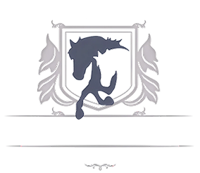 Pennsylvania Equine Rescue and Retirement Foundation (PERRF)